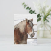 Pferd Postkarte (Stehend Vorderseite)