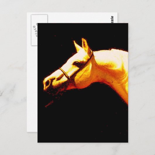 Pferd Postkarte (Vorne/Hinten)