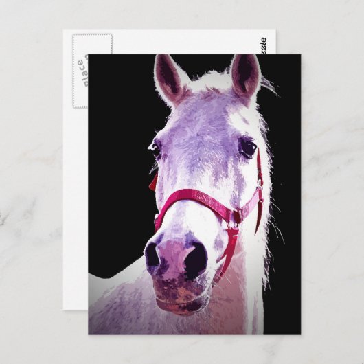 Pferd Postkarte (Vorne/Hinten)