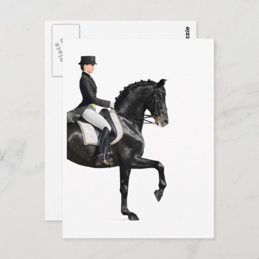 Pferd Postkarte (Vorne/Hinten)