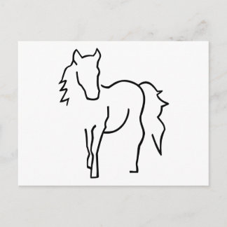 Pferd Postkarte