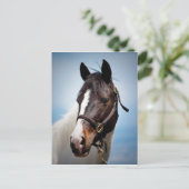 Pferd Postkarte (Stehend Vorderseite)
