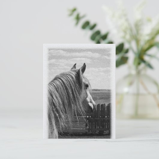 Pferd Postkarte (Stehend Vorderseite)