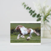 Pferd Postkarte (Stehend Vorderseite)