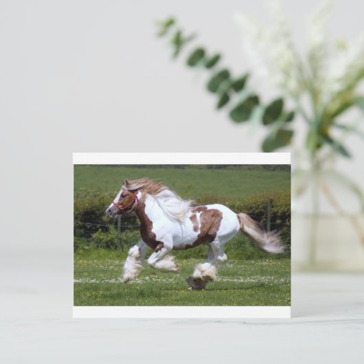 Pferd Postkarte (Stehend Vorderseite)