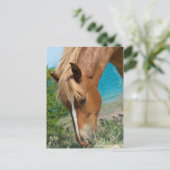 Pferd Postkarte (Stehend Vorderseite)