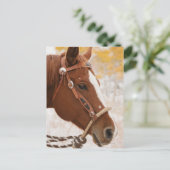 Pferd Postkarte (Stehend Vorderseite)