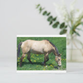 Pferd Postkarte (Stehend Vorderseite)