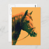Pferd Postkarte (Vorne/Hinten)