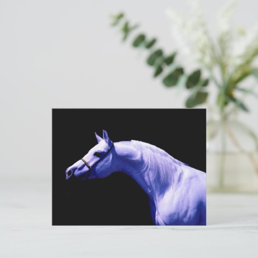 Pferd Postkarte (Stehend Vorderseite)