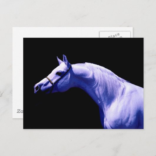 Pferd Postkarte (Vorne/Hinten)