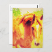 Pferd Postkarte (Vorne/Hinten)