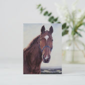 Pferd Postkarte (Stehend Vorderseite)