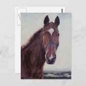 Pferd Postkarte (Vorne/Hinten)