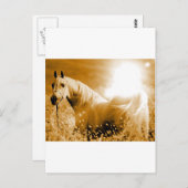 Pferd Postkarte (Vorne/Hinten)