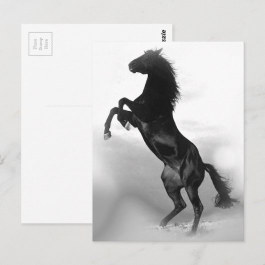 Pferd Postkarte (Vorne/Hinten)
