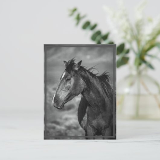 Pferd Postkarte (Stehend Vorderseite)