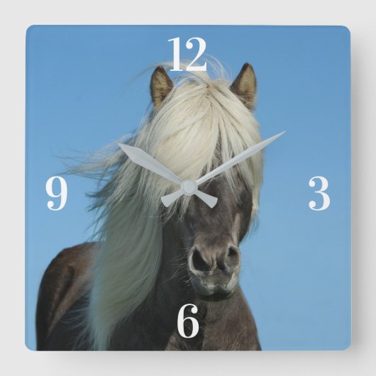 Pferd Quadratische Wanduhr (Vorderseite)