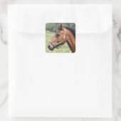 Pferd Quadratischer Aufkleber (Tasche)