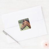 Pferd Quadratischer Aufkleber (Umschlag)