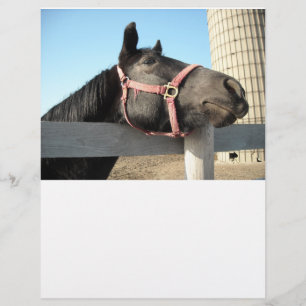 Pferd/Ranch/Stall