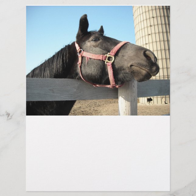 Pferd/Ranch/Stall (Vorderseite)