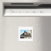 Pferd/Ranch/Stall Magnet (In Situ (Geschirrspüler))