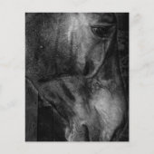 Pferd | Reittiere Leinwand Flyer (Vorne)