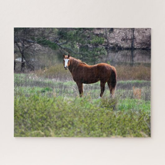 Pferd rückblickend puzzle (Horizontal)