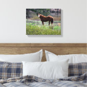 Pferd schaut zurück leinwanddruck (Insitu (Schlafzimmer))