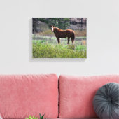 Pferd schaut zurück leinwanddruck (Insitu (Wohnzimmer))