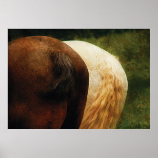 Pferd - Schwanz, die Sie gewinnen Poster