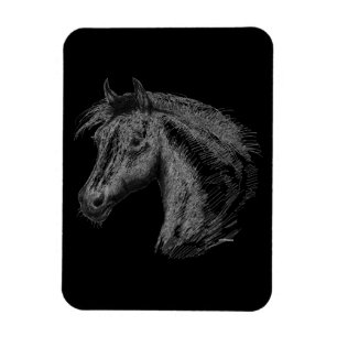 Pferd: Schwarz Magnet