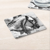 Pferd Schwarz-Weiß-Foto Rechteckiger Pappuntersetzer (angewinkelt)