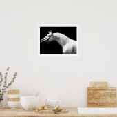 Pferd schwarz & weiß poster (Küche)