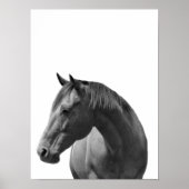 Pferd Schwarz Weiß Stil Moderner Poster (Vorne)