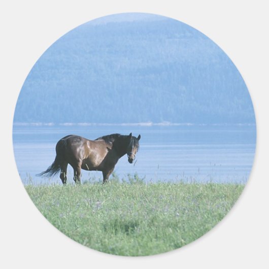 Pferd, See und Berglandschaft Runder Aufkleber (Vorderseite)