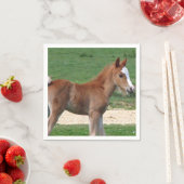 Pferd Serviette (Beispiel)