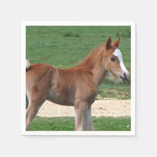 Pferd Serviette