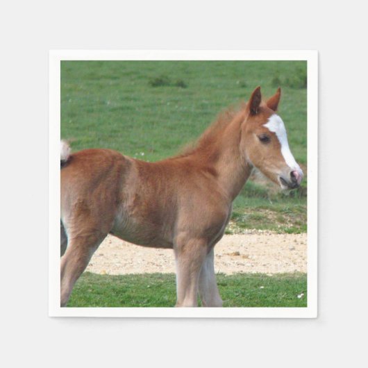 Pferd Serviette (Vorderseite)