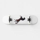 Pferd Skateboard (Horizontal)