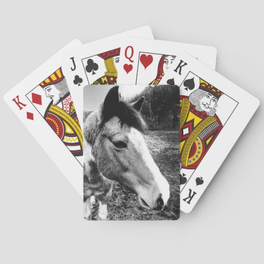 Pferd Spielkarten (Rückseite)