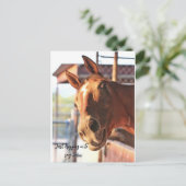 Pferd Sprichwort seine Postkarte (Stehend Vorderseite)