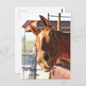 Pferd Sprichwort seine Postkarte (Vorne/Hinten)
