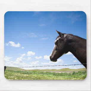 Pferd stehend am Zaun in der Weide Mousepad