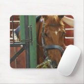 Pferd stehend in einem Stall Mousepad (Mit Mouse)