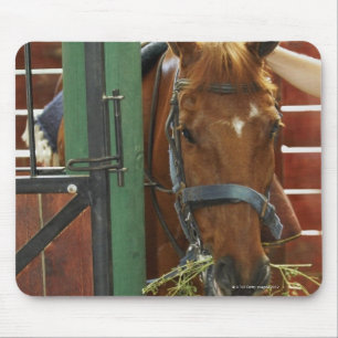 Pferd stehend in einem Stall Mousepad