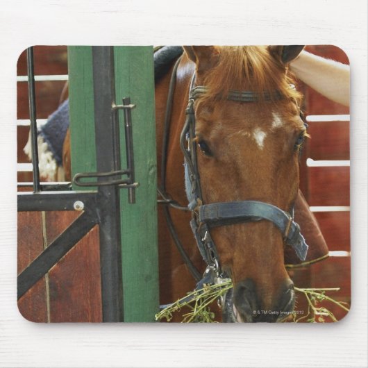 Pferd stehend in einem Stall Mousepad (Vorne)