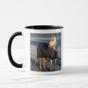 Pferd Tasse