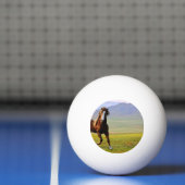 Pferd Tischtennisball (Netto)